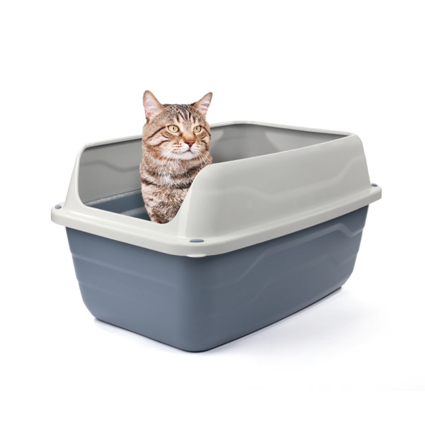 High edge litter box best sale