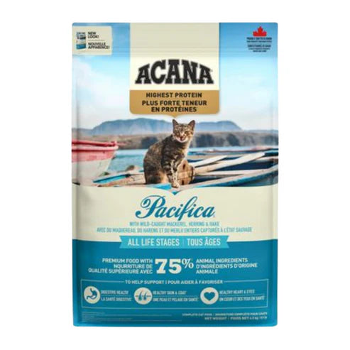 Pacifica Cat