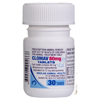 Clomav tablet (Emirates ID Required)