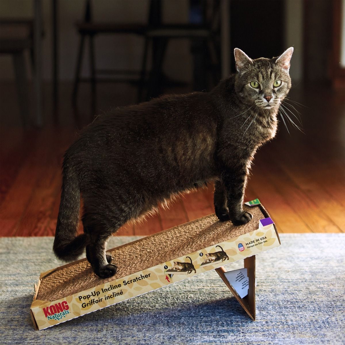 Pop-Up Incline Cat Scratcher