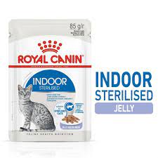 Indoor sterilised in Jelly (12x85g)