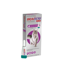 Bravecto Plus for Large Cats 6.25kg-12.5kg