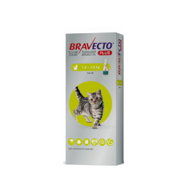 Bravecto Plus for Small Cats 1.2kg-2.8kg