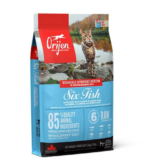 Six Fish Cat