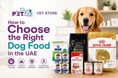 How to Choose the Right Dog Food in the UAE