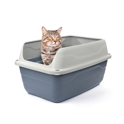 Colosseo High Edge Cat Litter Tray