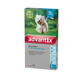 Tick and flea spot-on for dogs 4-10kg (1 x pipette)