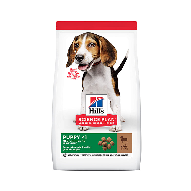 Medium Puppy Food With Lamb and Rice