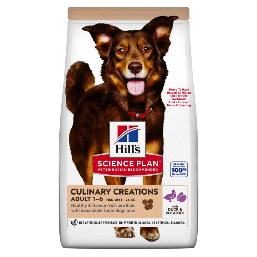 Culinary Creations Duck And Potato Dog Food
