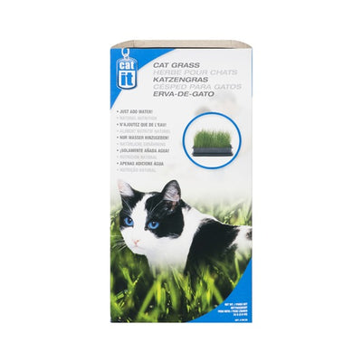 Cat Grass 75g