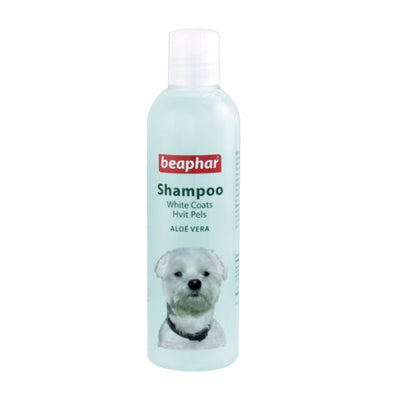 Shampoo Aloe Vera Blue (White Coat) 250mL