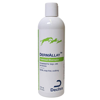 Dermallay Oatmeal Shampoo 12oz