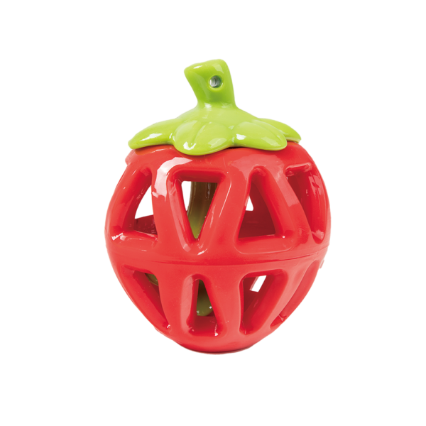 Squeaky strawberry dog deals toy