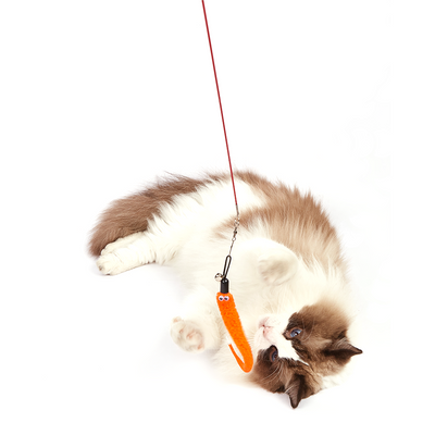 Retractable Worm Cat Wand Cat Toy