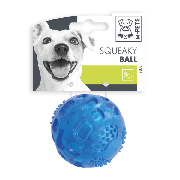 Squeaky Ball Dog Toy Blue