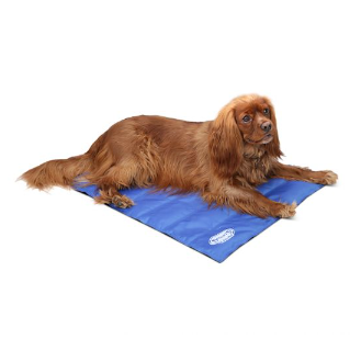 Cool Mat