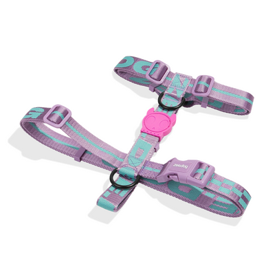 Aura H-Harness