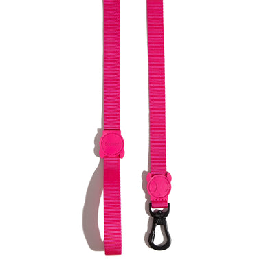 Pink Led Leash Large