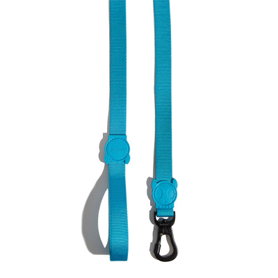 Blue Led Leash