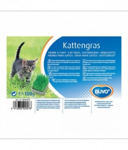 Duvo Cat Grass 100gm