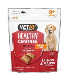 Healthy Centres Salmon Mango Dog Treats 70g