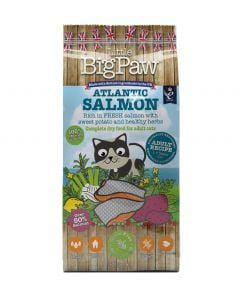 LITTLE BIG PAW Atlantic Salmon for Adult Cats 1.5kg - My Cat and Co.