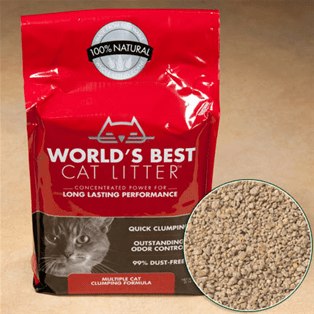 World's Best Cat Litter Extra Strength - My Cat and Co.