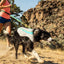 RUFFWEAR Swamp Cooler - My Pooch and Co.