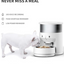 Infiniti Automatic Feeder with stainless steel bowl