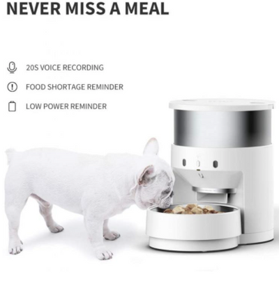 Infiniti Automatic Feeder with stainless steel bowl