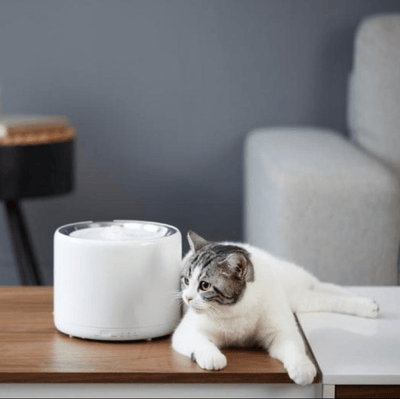 PETKIT Water Fountain 3 (1.35L) - My Cat and Co.