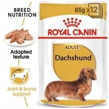 ROYAL CANIN Adult Dachshund (12x85g) - My Pooch and Co.