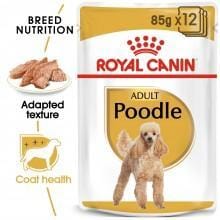 ROYAL CANIN Adult Poodle (12x85g) - My Pooch and Co.