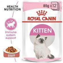 Royal Canin Kitten Wet Food in Gravy - My Cat and Co.