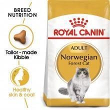 ROYAL CANIN Norwegian Forest Cat 2kg - My Cat and Co.