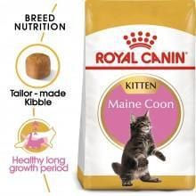 ROYAL CANIN Kitten Maine Coon 2kg - My Cat and Co.