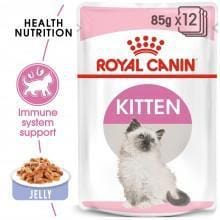 Royal Canin Kitten Instinctive Wet Food in Jelly - My Cat and Co.