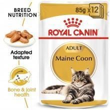 ROYAL CANIN Adult Maine Coon Wet Food - My Cat and Co.