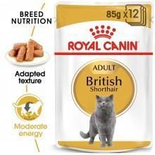 Royal Canin British Shorthair Wet Food - My Cat and Co.