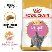 ROYAL CANIN Kitten British Shorthair 2kg - My Cat and Co.