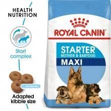 ROYAL CANIN Maxi Starter - My Pooch and Co.